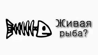 Чем живая рыба отличается от мертвой?