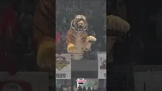 좋아요 11,000개 받은 우승 엠블럼 라인업송