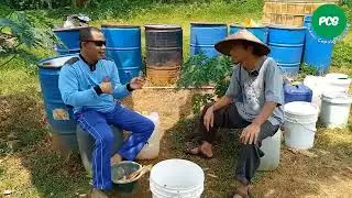 MEMBASMI PENYAKIT PADA TANAMAN SECARA ALAMI