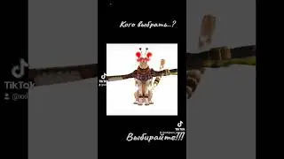 Спасите.. #вайлдкрафт #вилдкрафт #игры #видосы #capcut