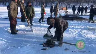 Саха бары кэтэһэр, Муҥха кэмэ үүнэрин, Күргүөм мустан күүстээх үлэ, Ситиһиилээх буоларын.