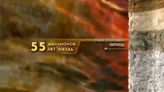 Волгоградская область в палеогеновый период 65 млн  лет назад ~2