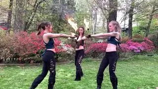 Palm Torch Trio