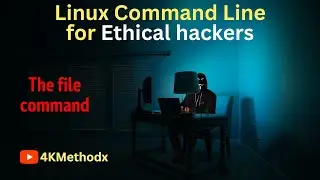 How to Use the file Command to Determine the Type of a File (Linux) #15