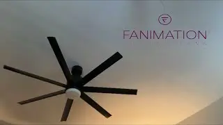 56” Fanimation Blitz Ceiling Fan.