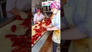 BİBER SALÇASI CANDIR!