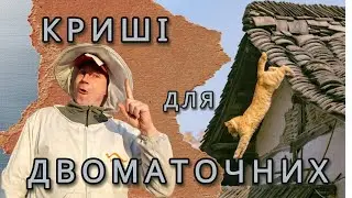 дві матки під одним дахом!