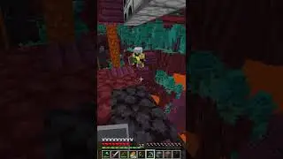 I survived falling in the lava!