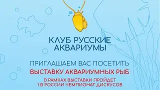 Всероссийская Выставка + Чемпионат Дискусов