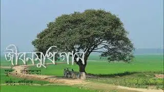 Ajtheke 1 hajar shit boshonto sheshe- Galib
