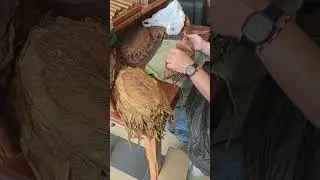 Cigar Making In Cuba #cuba #cigarshow