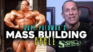 HOW DAVE PALUMBO GOT HUGE! | Mass Building Cycle (For Carbs)
