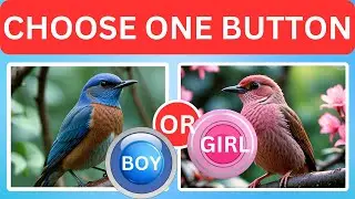 Choose One Button!   Boy And Girl Edition