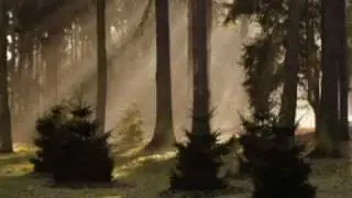 ♥♫Always - MARC ENFROY♥♫