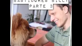 Bastidores Parte 3 - Billy, o chow chow agressivo na casa de Alexandre Rossi