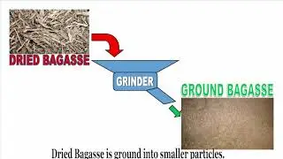 Bagasse Screening