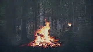 Glowing Lanterns in the Enchanted Forest: Magical Bonfire with Rainfall Ambience