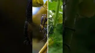 Natural Photo Editing  // Natural Photography //
