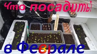 Высокая грядка термос. Переносной парник в феврале. Теплица хлебница.