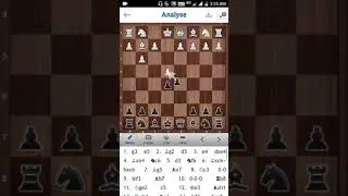 Sacrificed both Rooks and Won the game