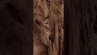 Vectrons in Octane Renderer