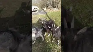 Гуляем!!!