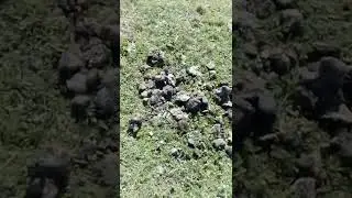 Р.Мукыр берег со стороны Ильинки