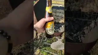 #kozel