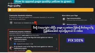 How to appeal page quality yellow to green
