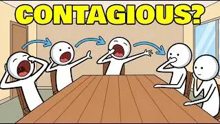 Why Do We Yawn And Why Is It Contagious?