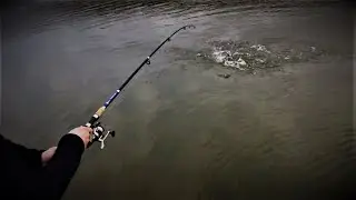 Рыбалка. Открытие сезона.