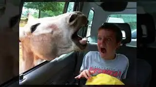 Funny People Having Worse Day Than You Compilation