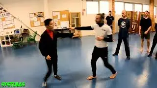 systema martial art stay away systema martial art stay away Menamy MITANES LOS ANGELES