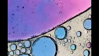 THE BEST OF MACRO PHOTOGRAPHY - Using Oil, Water And Food Colouring