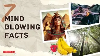 7 MIND-BLOWING AND SURPRISING FACTS THAT WILL AMAZE YOU!
