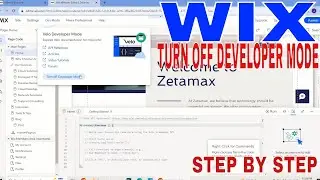 ✅  How To Turn Off Developer Mode On Wix 🔴