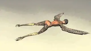 Harpy