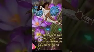 Чудесному человеку, чудного вечера, добрых, нежных снов.