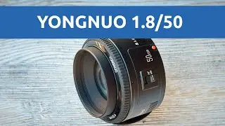 Тест объектива Yongnuo YN50 50mm f1.8: дешево, ненадежно и сердито | молчаливый обзор