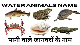 Water Animals Name | समुद्री जानवरों के नाम हिंदी और अंग्रेजी में |पानी वाले जानवरों के नाम #animals