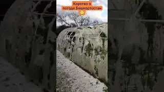 #башкортостан #погода#июль2024