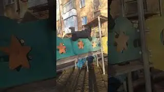 31 октября 2022 г.