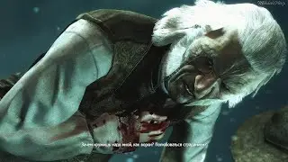 Работорговец Лауреано Принс ► Assassins Creed IV Black Flag #15