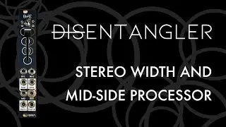 DISENTANGLER Stereo Width and Mid-Side Eurorack Module