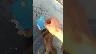 financial instrument of Georgia, 🤣🤣 Georgian financial instrument