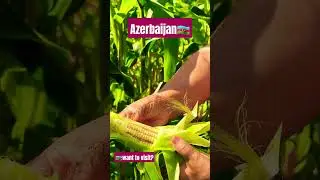 ❤️💫Most beautiful places#shortvideo#azerbaijan#nature#shortsvideo#travel#traveling#shotrs#vacation