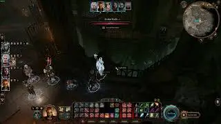 Curiosity unalived the guard [Baldur's Gate 3]