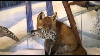 музей в РЕВДЕ Мурманская обл