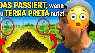 Terra preta | Wunderwaffe im Weinberg?