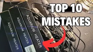 Why I don't use heaters any more - 10 fish keeping mistakes